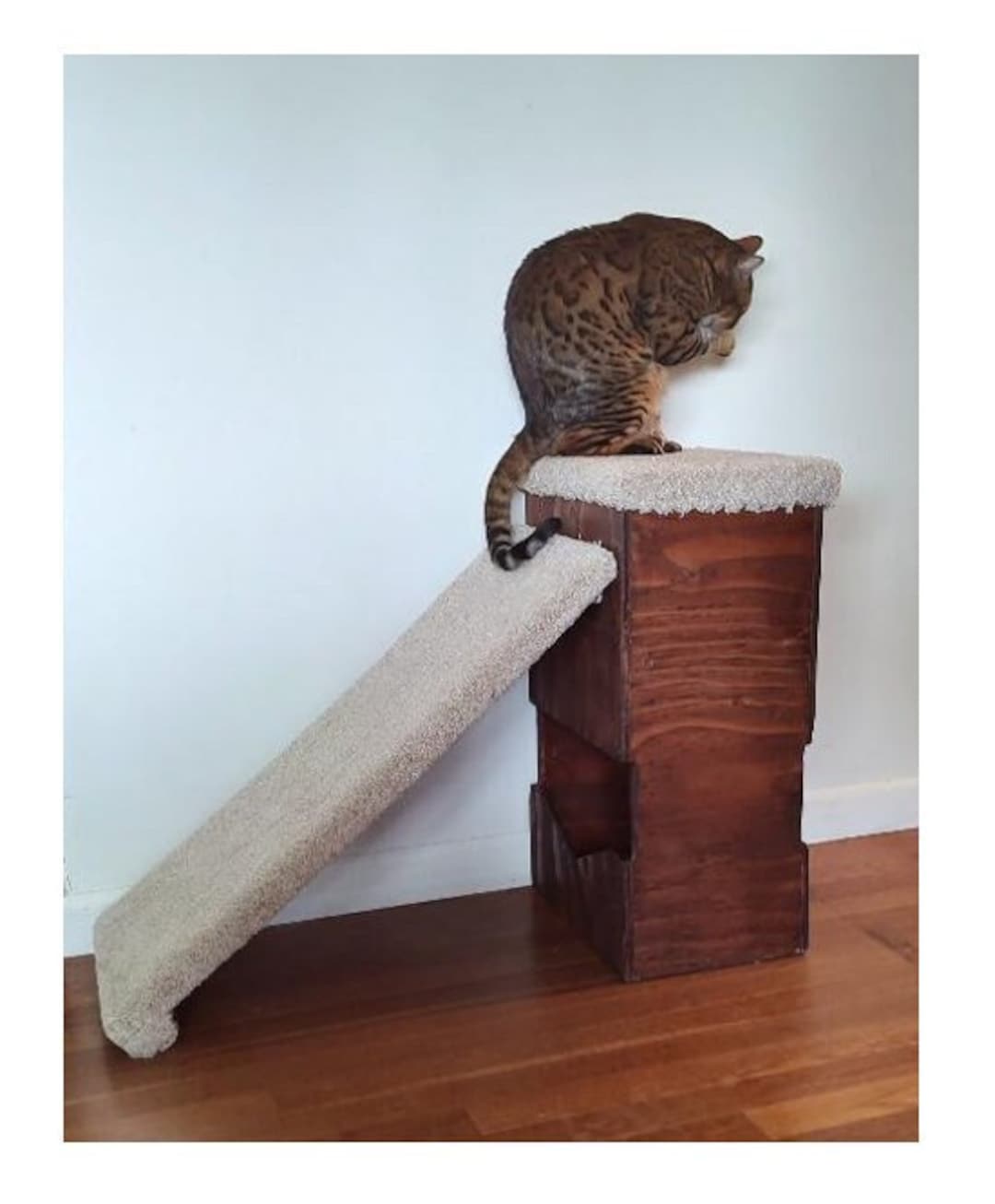 Cat Scratcher & Pet Ramp With Play Box Multi Use Pet Etsy