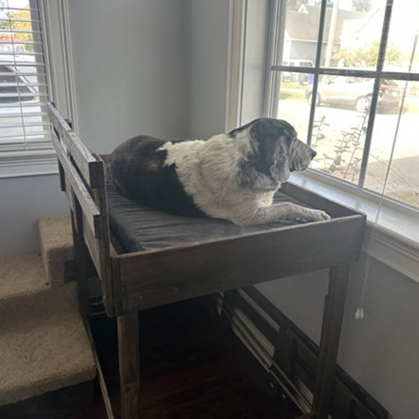 Photo inspiration: Elevated Dog House With Ramp Reference: Raised Dog Bed