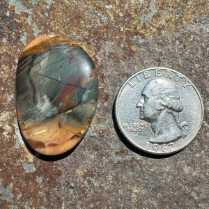 May include: A polished, oval-shaped stone with a unique pattern of brown, gray, and white. The stone is about the size of a US quarter.