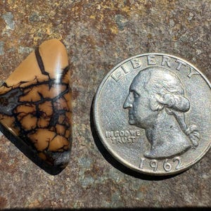May include: A triangular, light brown and black dendritic agate cabochon, approximately the size of a US quarter.