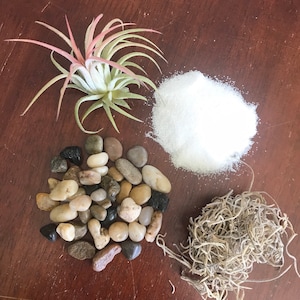 Air Plant Terrarium Kit Supplies, Use Your Own Container, DIY Terrarium Supplies