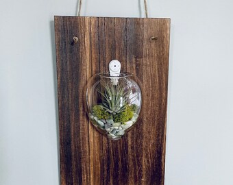 Wood and Jute Air Plant Hanging Terrarium, Tillandsia Air Plant Wall Hanging, Air Plant Terrarium Hanging Display