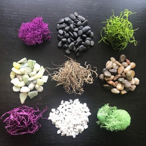 Add More Moss or Stones to Your Terrarium Kit, You Choose Moss or Stones,  DIY Terrarium Supplies