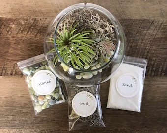 May include: A glass terrarium with a green air plant, moss, stones, and sand. The terrarium is surrounded by four bags labeled "Stones", "Moss", "Sand", and "Air Plant".