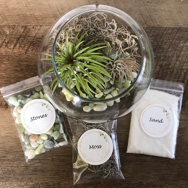 Create Your Own Bubble Ball Air Plant Terrarium Kit, DIY Terrarium, Living Tillandsia Air Plant, Air Plant Terrarium