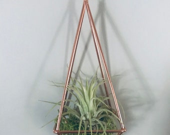 Rose Gold Hanging Air Plant Terrarium Kit, DIY Decor