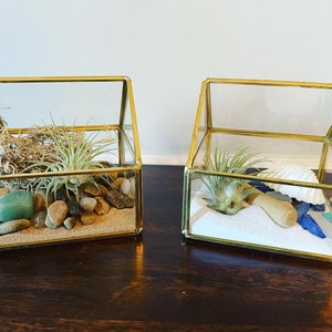 Puede incluir: Dos terrarios geométricos con marcos dorados y vidrio transparente. Uno contiene arena, rocas, una piedra verde y una planta de aire. El otro presenta arena, conchas marinas, vidrio de mar y una planta de aire.