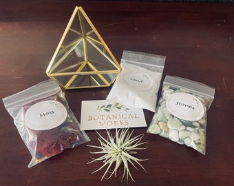Gold Glass Triangle Air Plant Terrarium Kit, DIY Plant Gift