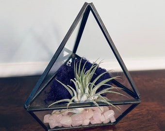 Kit terrario per piante aeree triangolari in vetro nero, regalo fai da te per piante