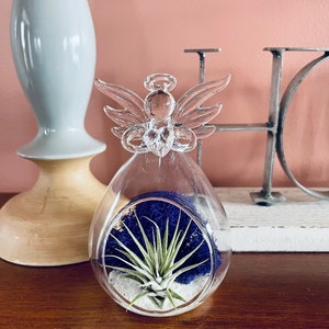 Angel Air Plant Terrarium Kit, Honor Your Angel DIY Terrarium, Tillandsia Air Plant, Air Plant Terrarium, Create Your Own
