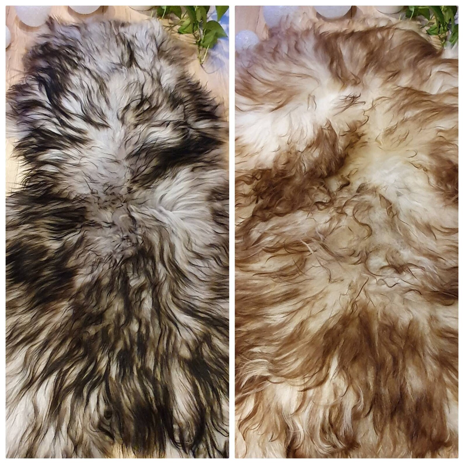 Piel de oveja piel de cordero XXL ecológica ganadería Etsy