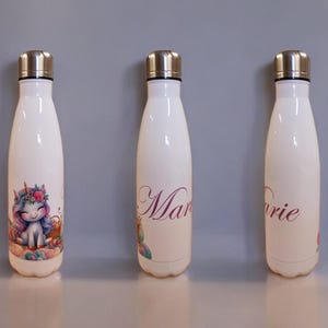 Drinkfles van roestvrij staal, thermosfles