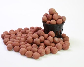 LECA Expanded Clay Hydroponic Pebbles - Great for layer of Drainage -Lightweight - Hydroponic Grow Media - Reusable - Pre Rinsed