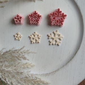 May include: A selection of snowflake-shaped cookie cutters in different sizes. The cutters are pink and white, displayed on a white plate. Dried plants are in the background.