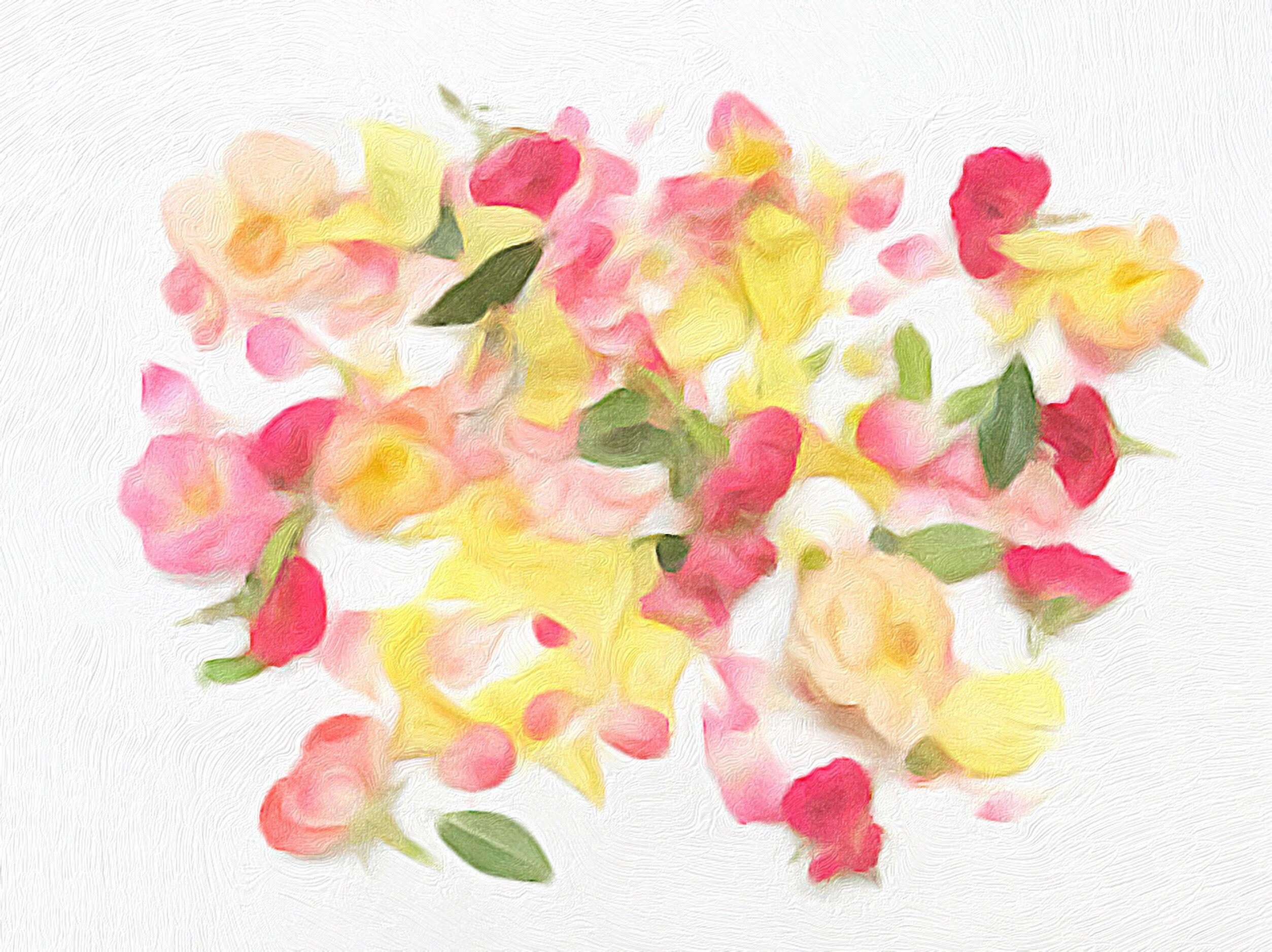 Rose Petal Fine Art Print Etsy