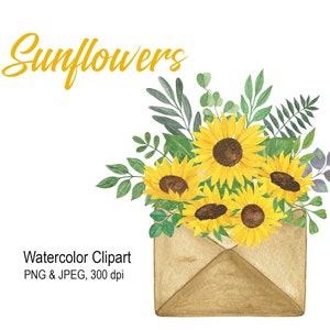 Sunflower watercolor bouquet, Sunflower floral clipart, Sunflower in Vintage Envelope, Sunflower Arrangement, PNG, Sunflower sublimation