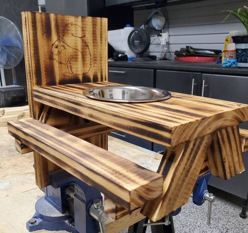 squirrel picnic table squirrel picnic table