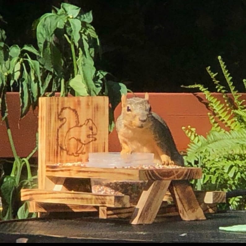 Handmade Squirrel Picnic Table W/torched Finish and Metal Etsy