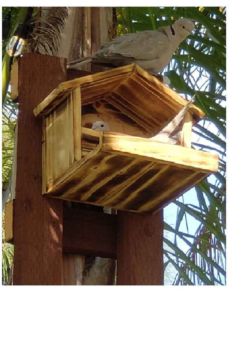 Large Handmade Dove House with Feeding Platform and Torched Finish. Sealed and Waterproofed. image 4