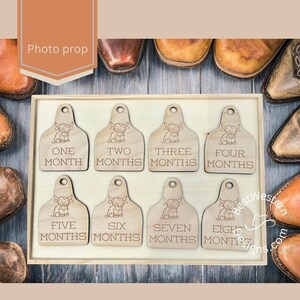 Cow Tag Baby Milestone Markers: Birch Wood Photo Props