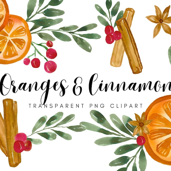 Watercolor Christmas Oranges and Cinnamon Clip Art - Digital Transparent PNG Holly Branch and Berry  Graphics - Personal Commercial Use