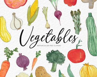 Vegetable Watercolor Clip Art - Gardening PNG Graphics - Personal Commercial Use