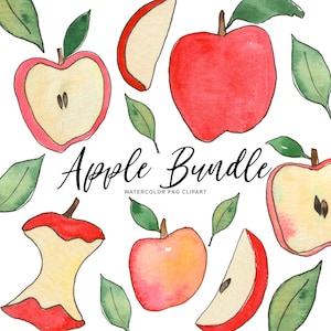 Aquarela Apple Clip Art Bundle - Maçãs de outono para impressão PNG para download - Transparente - Uso comercial pessoal