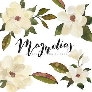 Watercolor Magnolia Flower Branches Clipart - Magnolia Graphics - Transparent PNG Watercolor Magnolias - Personal Commercial Use