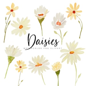 Waterrcolor Daisy Clipart - Transparent White and Yellow Daisy Flower PNG Graphics - Personal Commercial Use