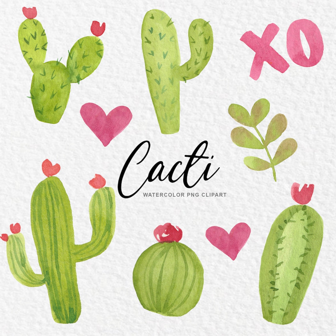 Cactus Cacti Watercolor Clip Art - Hand Painted Cactus Graphics PNG ...