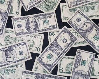 Cotton Money United States Dollar USD Rich Pleasures /& Pastimes Cotton Fabric Print by the Yard D563.52 ETJ-5211-1MONEY