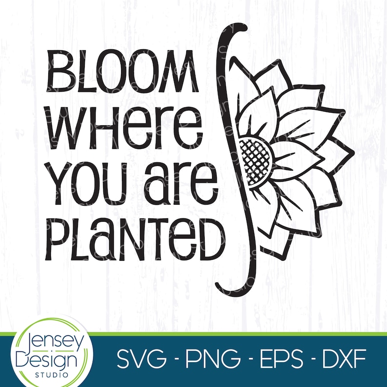 Bloom Where You Are Planted svg Inspirierender Spruch - Etsy.de