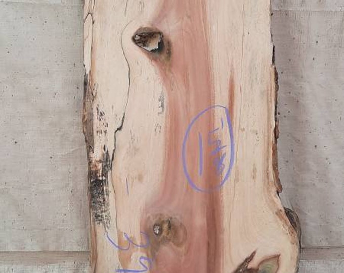 Kiln Dried Live Edge Poplar Etsy