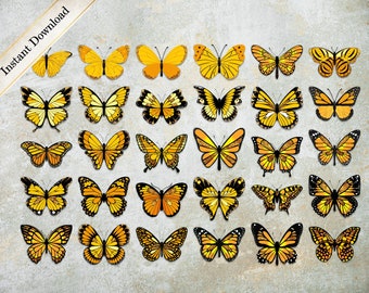 Free Free 290 Yellow Butterfly Svg SVG PNG EPS DXF File