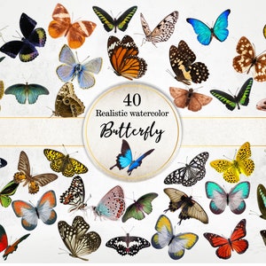 Pacote de imagens de borboletas realistas, clipart de borboletas de arte digital, imagem PNG de borboleta colorida, gráficos PNG, uso comercial