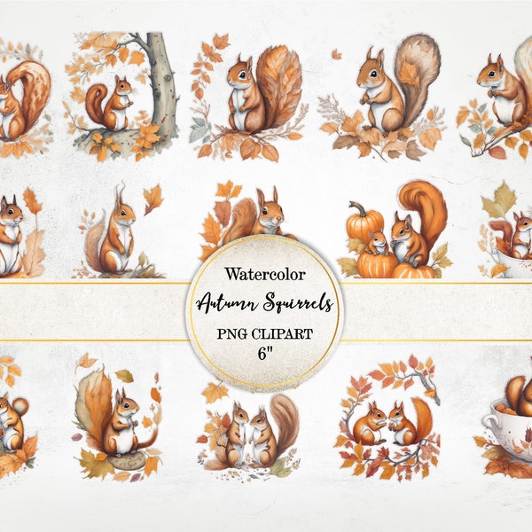 Squirrel Watercolor - Etsy