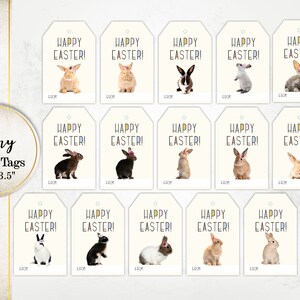 16 Easter Bunny Gift Tags, Happy Easter Tags, Bunny Tags, Instant Download, Cookie Holiday Labels, Printable  SI0027