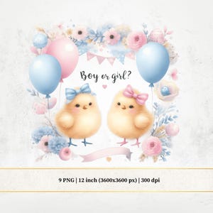 Clipart di rivelazione del sesso dei pulcini, PNG di pulcino blu e rosa, Acquerello di bambina o bambino, Che bambino sarà?, Creazione di biglietti