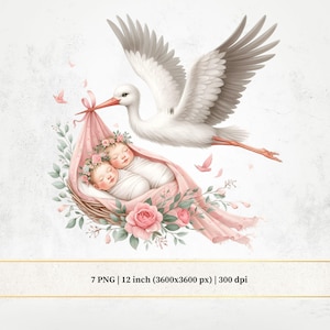 Ooievaar levert baby tweeling meisje clipart, roze pasgeboren png, aquarel ooievaar, aquarel sprookjes kinderkamer kunst, kaarten maken