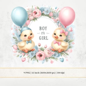 Eendje gender Reveal clipart, blauwe en roze baby eend png, aquarel gender Reveal meisje of jongen, wat wordt de baby?, kaarten maken