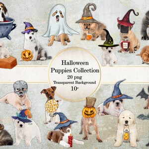 Halloween Welpen Sammlung, Hexenhunde Bilder Pack, druckbare Welpen digitale Kunst, Hündchen PNG Bilder, kommerzielle Nutzung