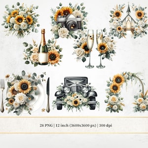 Clipart mariage classique et intemporel, clipart aquarelle le jour du mariage, 28 PNG transparents, tournesols et roses blanches, éléments de mariage