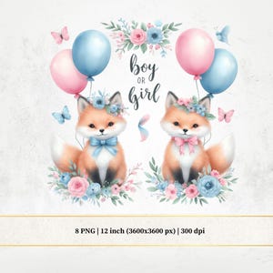 Aquarel Fox Cub gender Reveal clipart, blauwe en roze baby Fox png, aquarel gender Reveal meisje of jongen, wat wordt de baby?, kaarten maken
