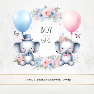 Babyolifant gender Reveal clipart, blauwe en roze olifant png, aquarel gender Reveal meisje of jongen, wat wordt de baby?, kaarten maken