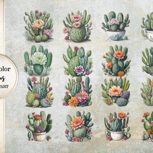 Watercolor Cactus Images, Watercolor Desert Cacti Clipart, PNG Transparent, Commercial use