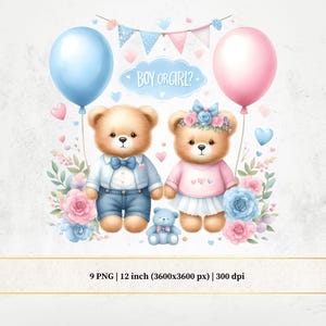 Teddybeer gender Reveal clipart, blauw en roze gender Reveal png, meisje of jongen png, wat wordt de baby?, babyshower