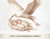 Delivery Twin Baby in Neutral Colors, Watercolor Stork Clipart PNG (Digital Download)