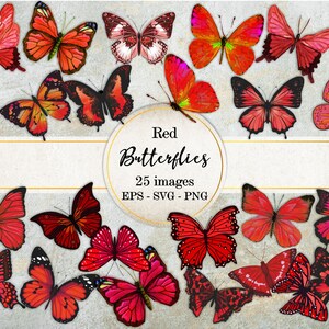 Red Butterflies Image Collection,  Butterflies SVG, Butterfly PNG Images,  EPS graphics, Commercial use