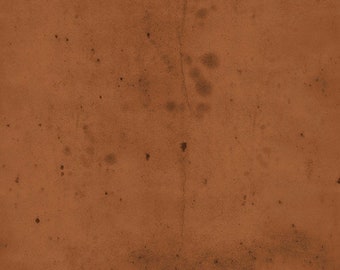 Tim Holtz || Provisions - Sienna || Eclectic Elements || Free Spirit