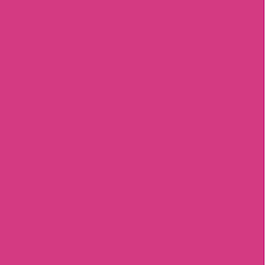 Stargazer -Tula Pink Dragon&#39;s Breath